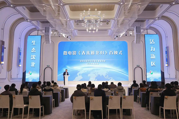辽宁传媒学院制作，沈北新区微电影《春来雁北归》首映！