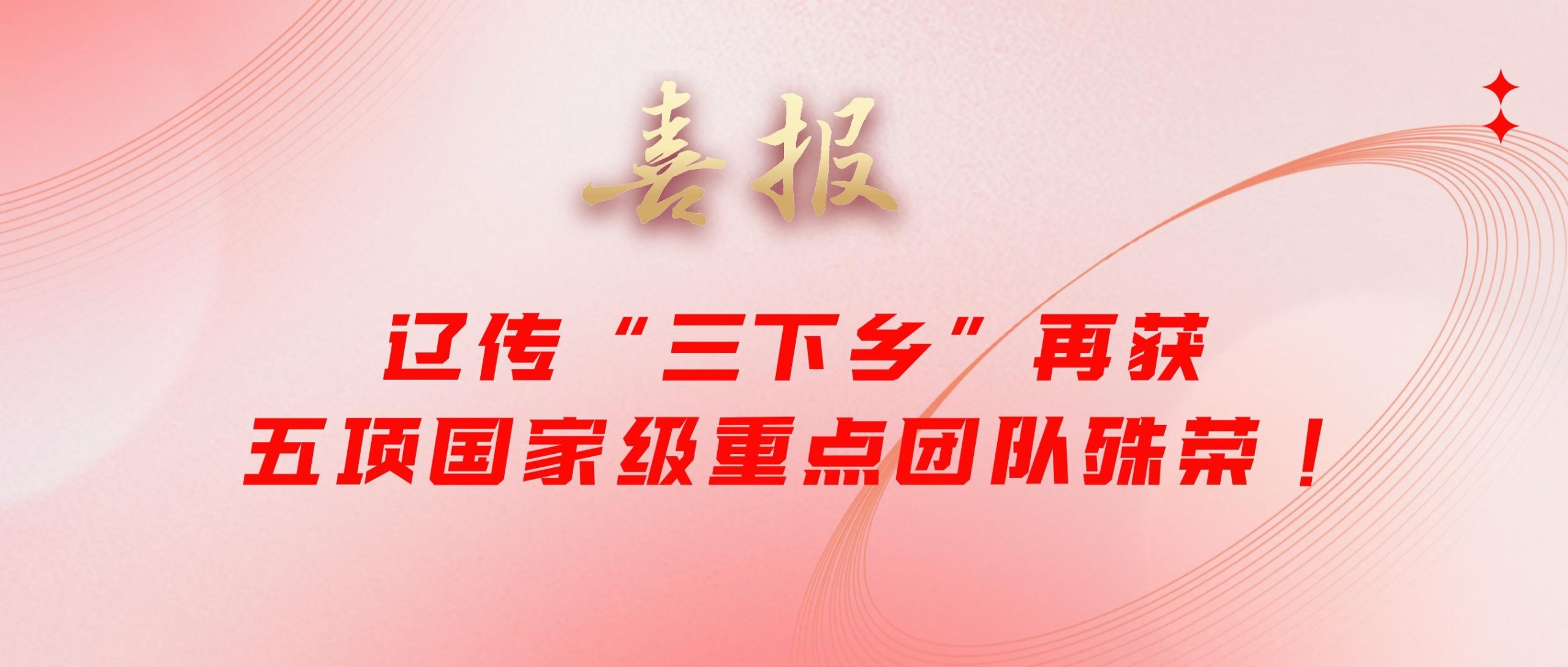 辽传“三下乡”再获五项国家级重点团队殊荣！